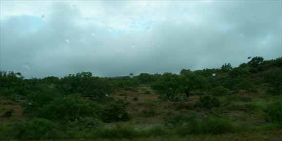 Rain.
