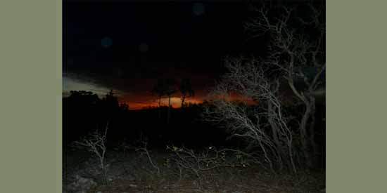 Fire in the Sky.