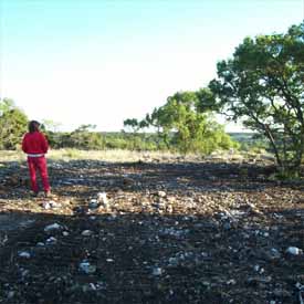 Clearing Land.