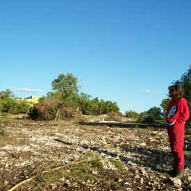 Clearing Land.