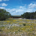 Dancing Lizard Ranch.