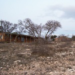 Dancing Lizard Ranch.