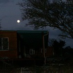 Dancing Lizard Ranch.