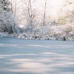 The Winter Pond is Magical.