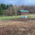 Garden in the Spring.