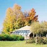 Greenhouse in the Fall.