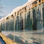 Greenhouse Icicles