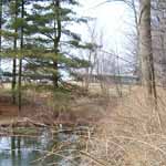 Down by the pond.