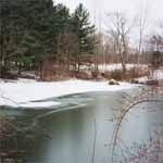 The pond in the winter time.