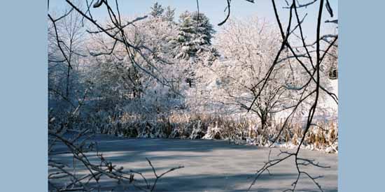 Winter Wonderland.