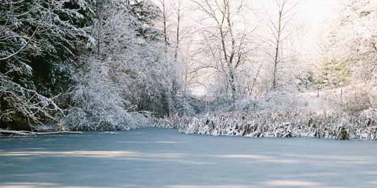 Winter Wonderland.