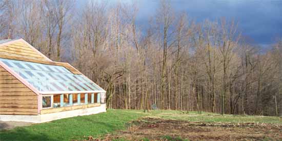 Green House in the Spring