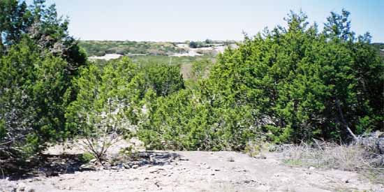 Take a look at our land.