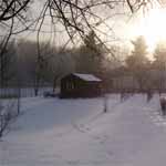 Garden in the Snow.