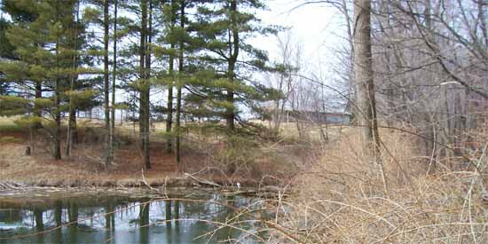 Down by the pond.