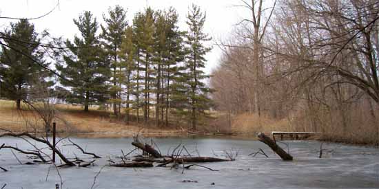 Pond makes a great habitat.